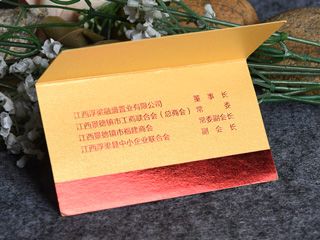 高档名片设计（房产置业）