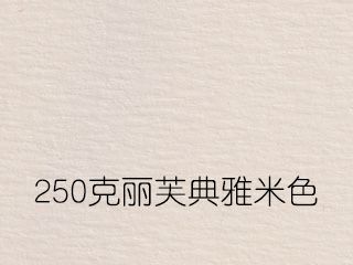 250克丽芙典雅米色